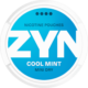 ZYN Cool Mint Mini Dry 6 mg