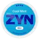 cool mint 10.6mg