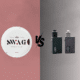 nicotine pouches vs vaping