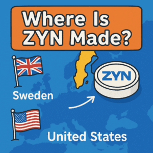 where is zyn made