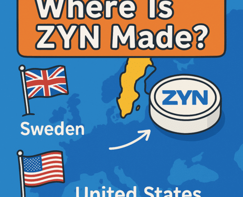 where is zyn made